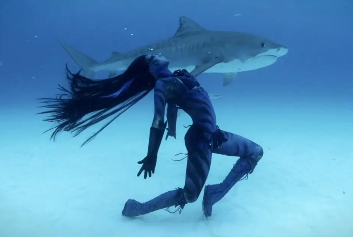 TEARS OF A MERMAID (Documentary)