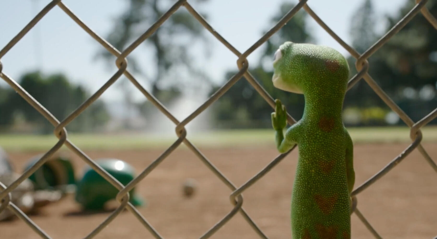 Geico